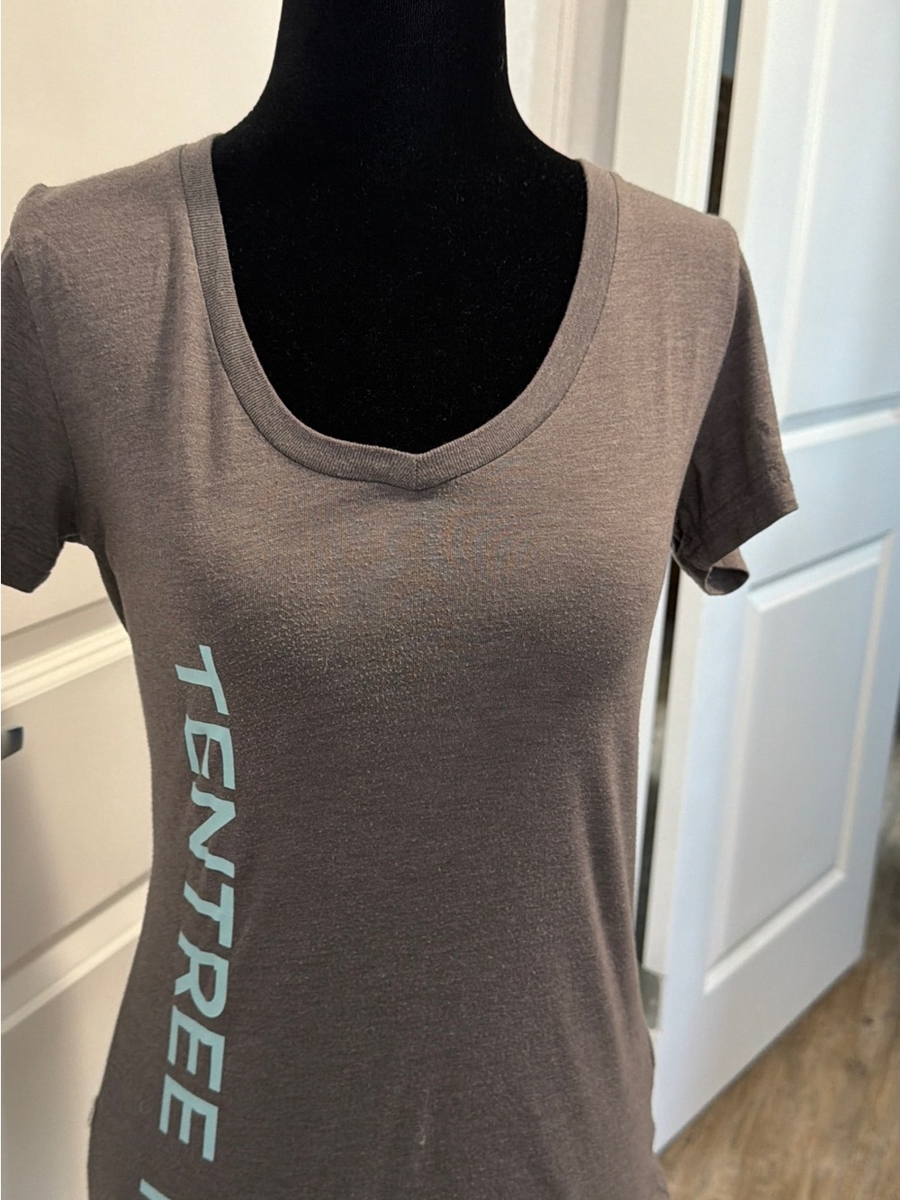 tentree Brown Scoop Neck Tee with Light Blue Vertical Logo